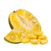 JACKFRUIT